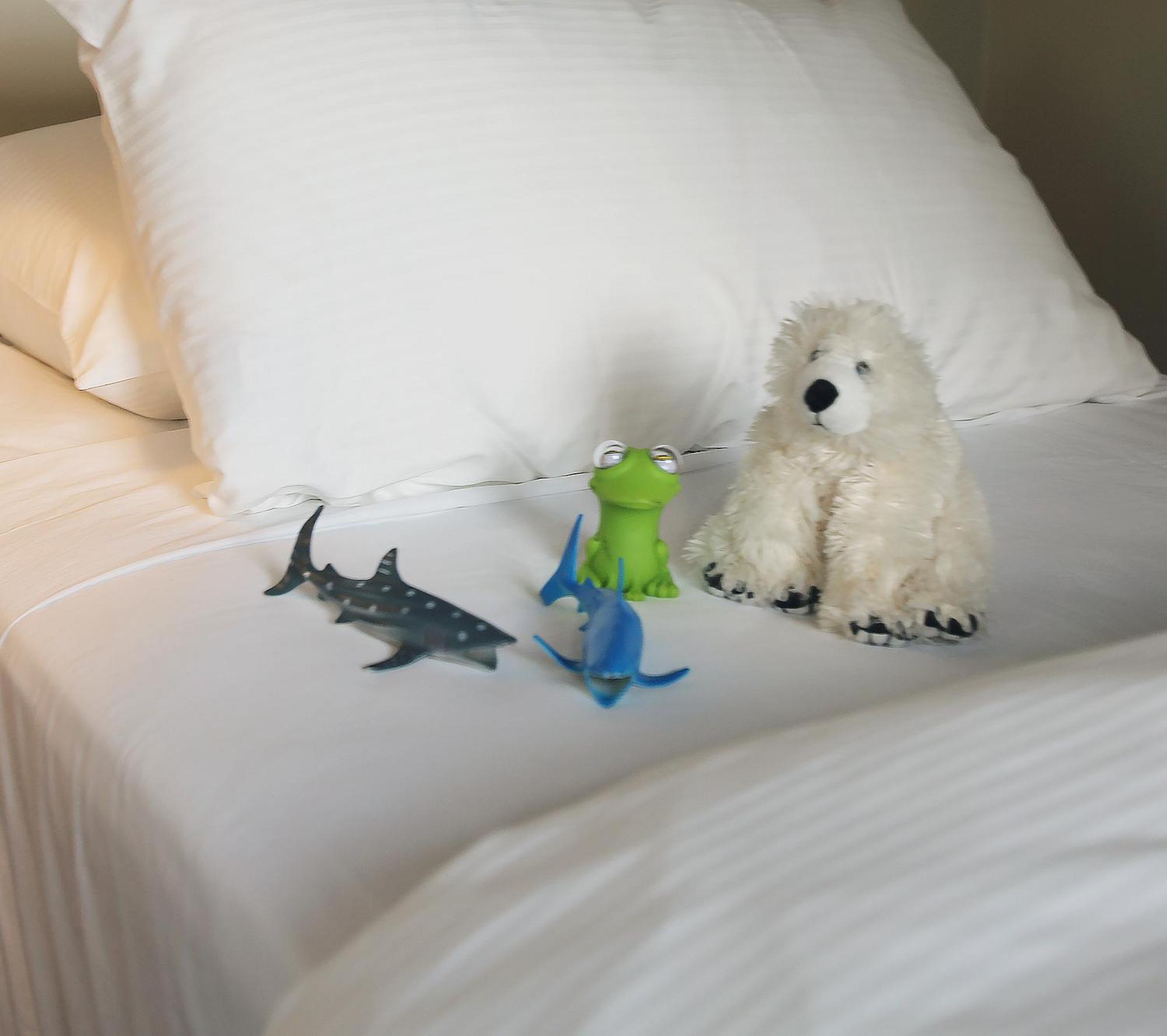 Times Square Suites Hotel แวนคูเวอร์ ห้อง รูปภาพ